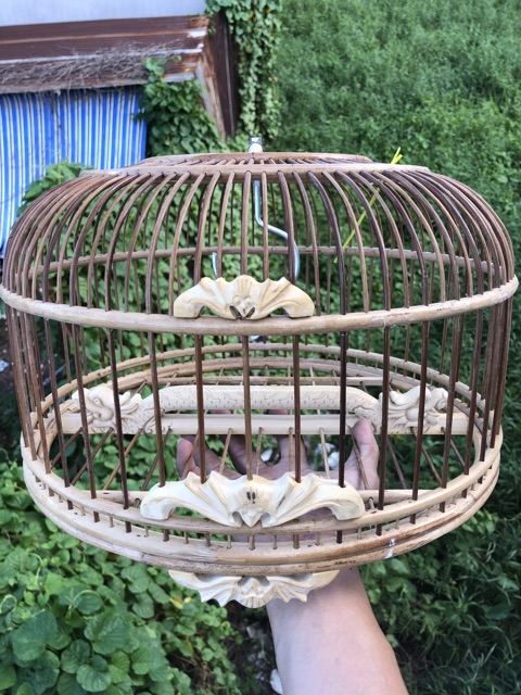 Lồng tre già