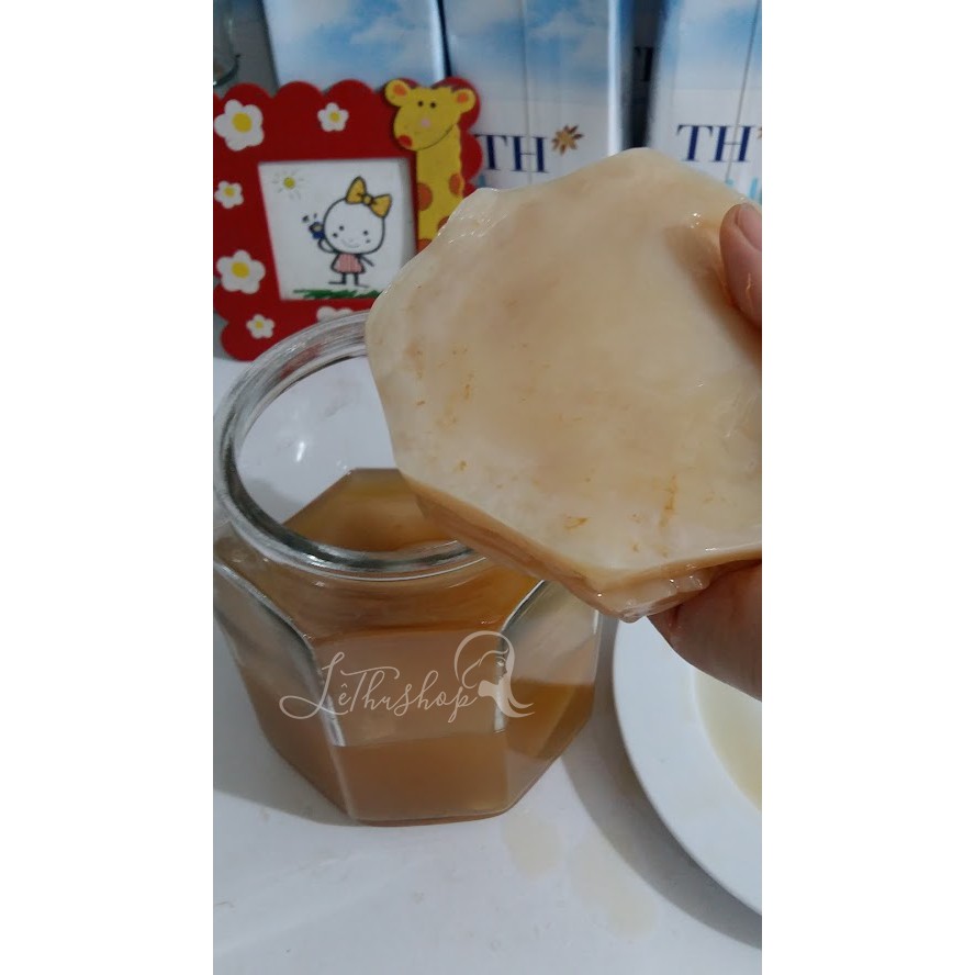 SCOBY Organic - Trà Kombucha Hữu Cơ