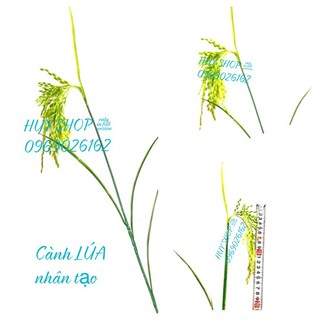 COMBO 10 Cành Hoa LÚA, Bông LÚA nhân tạo trang trí nhà cửa