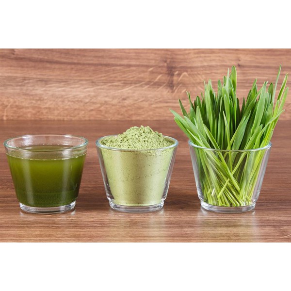 [Hộp 72g] BỘT MẦM LÚA MẠCH AOJIRU RAU QUẢ LÊN MEN JAPAN GALS Grass Barley (lsn)