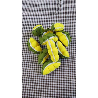 COMBO 5 MIẾNG SẦU RIÊNG BẰNG VẢI NỈ