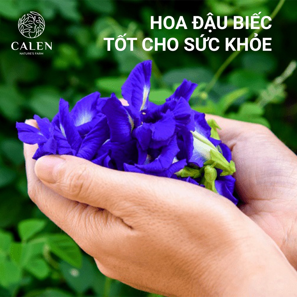 Trà Hoa Đậu Biếc Calen Thảo Mộc Thượng Hạng Hũ Để Detox,Thanh Nhiệt, Ngủ Ngon