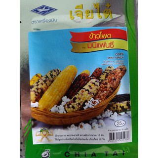 Hạt giống bắp cầu vòng