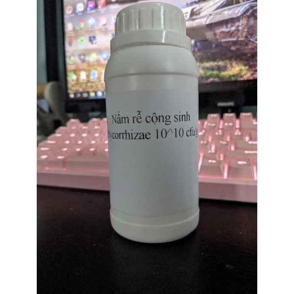 Nấm rễ cộng sinh mycorrhazae 10^10 cfu/gram