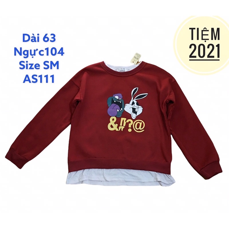[Ảnh Thật] áo sweater hàng 2hand mã AS111
