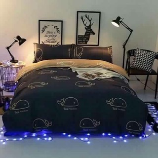 Bộ chăn ga gối cotton poly hàng nhập