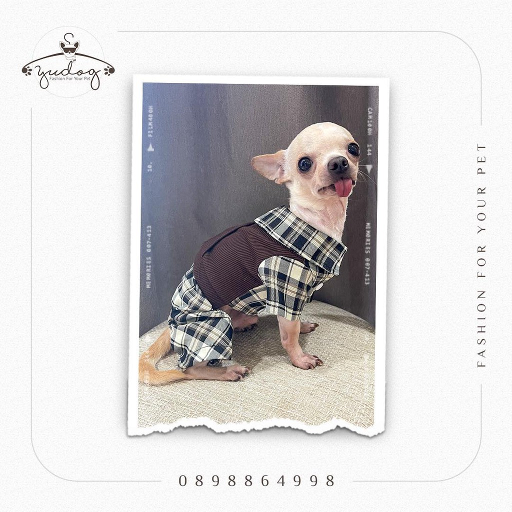 Bộ jum ghi lê phối sang trọng cho thú cưng chó mèo yudog