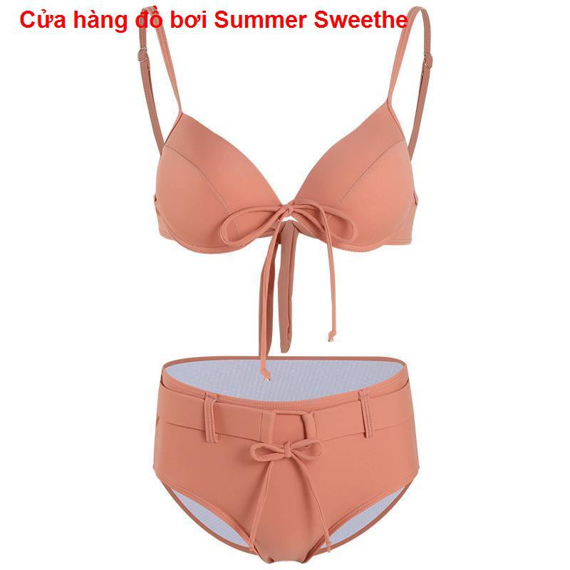 Áo tắm bikini gợi cảm của phụ nữ ngực nhỏ màu hồng Hàn Quốc tập hợp chia tam giác mỏng