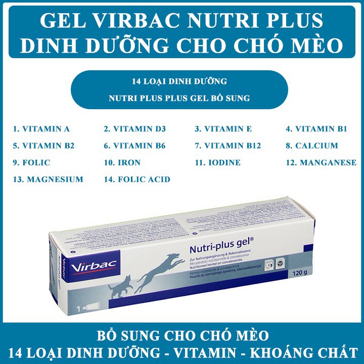 Gel dinh dưỡng cho chó mèo bệnh biếng ăn gầy gọc - Nutri plus gel virbac