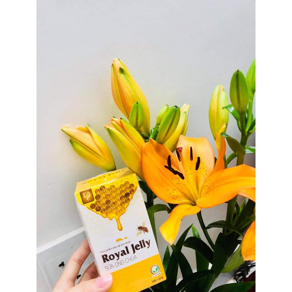 Viên sữa ong chúa Schon Royal Jelly 100 viên [Hàng Chính Hãng + TEM CÀO + DATE mới] | BigBuy360 - bigbuy360.vn
