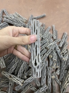 Lũa cholla cactus cho bể tép cảnh - 1 thanh