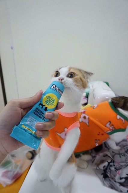 🐶🐱Gel dinh dưỡng Petme Plus Gel dành cho cún mèo💦