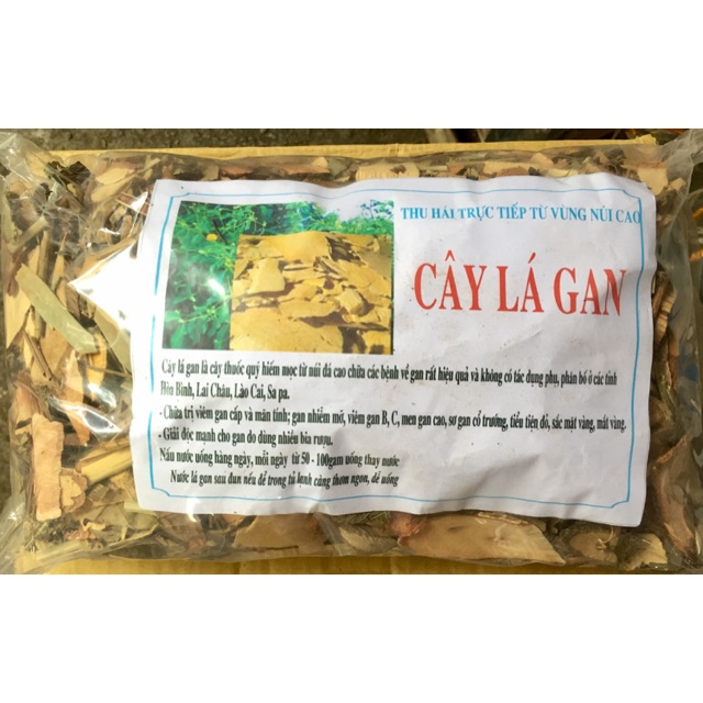 1kg Cây Lá Gan