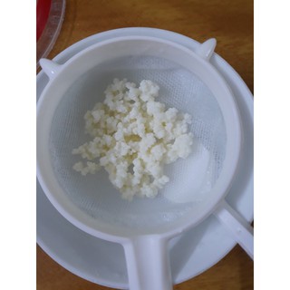 Combo rây nhựa và nấm kefir