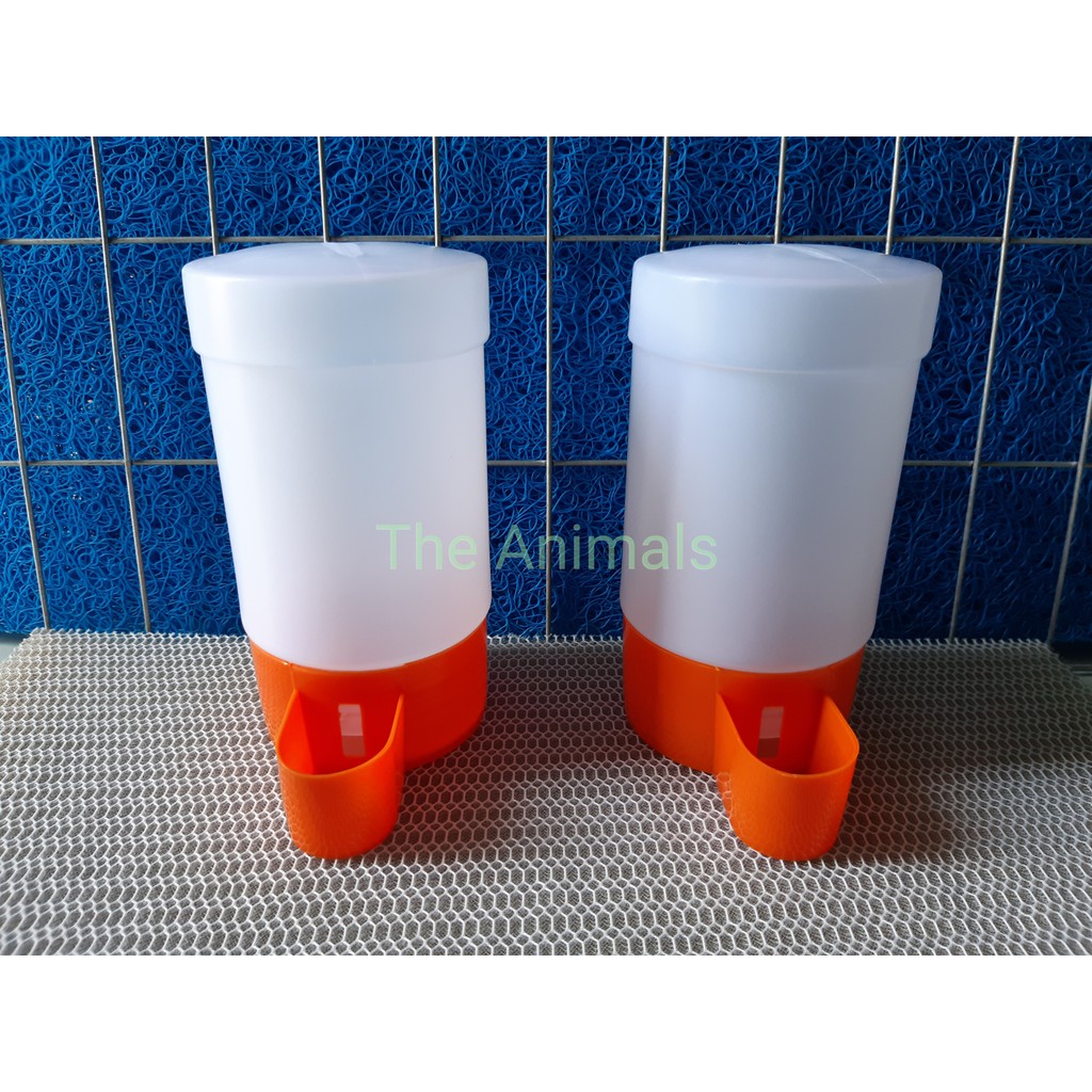 Set 5 cái Bình cấp nước tự động cho vẹt, chim cảnh, bồ câu, gà con