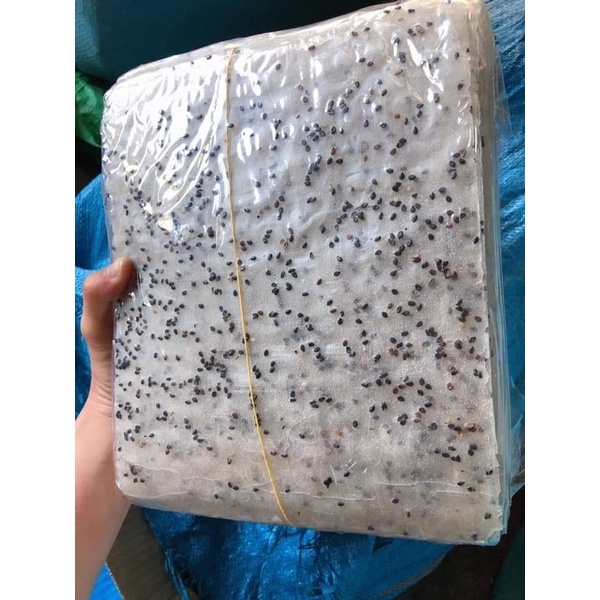 Bánh tráng nhúng mè đen ❤️GIÁ SỈ❤️ siêu nhiều, đặc sản Phan Rang