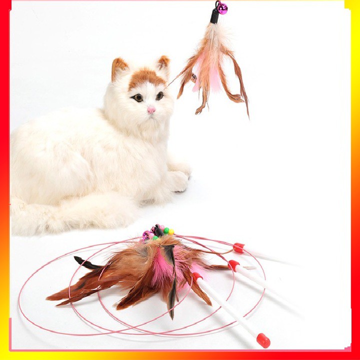 Cần Câu Mèo Dây Thép