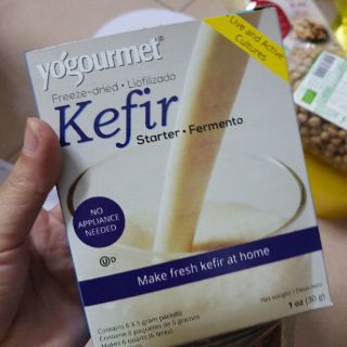 Men sữa chua kefir