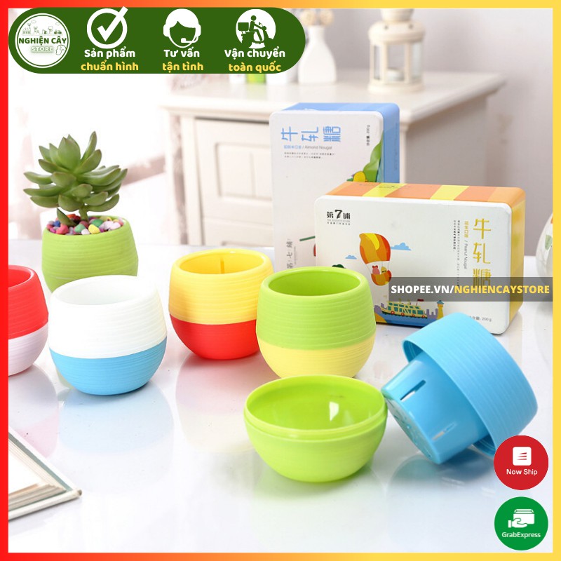 Chậu nhựa mini nhiều màu tự tưới, trồng sen đá, sương rồng, cây mini để bàn