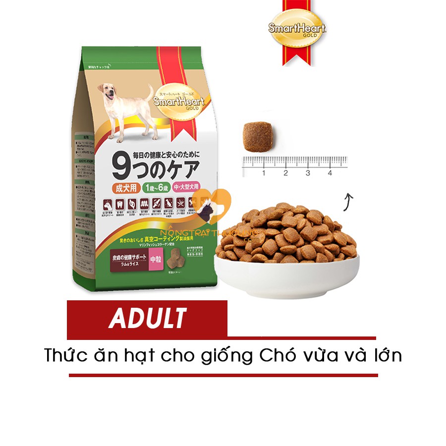 Thức Ăn Cho Chó Trưởng Thành Smartheart Gold Lamb and Rice Gói 6KG - Vị Thịt Cừu và Gạo