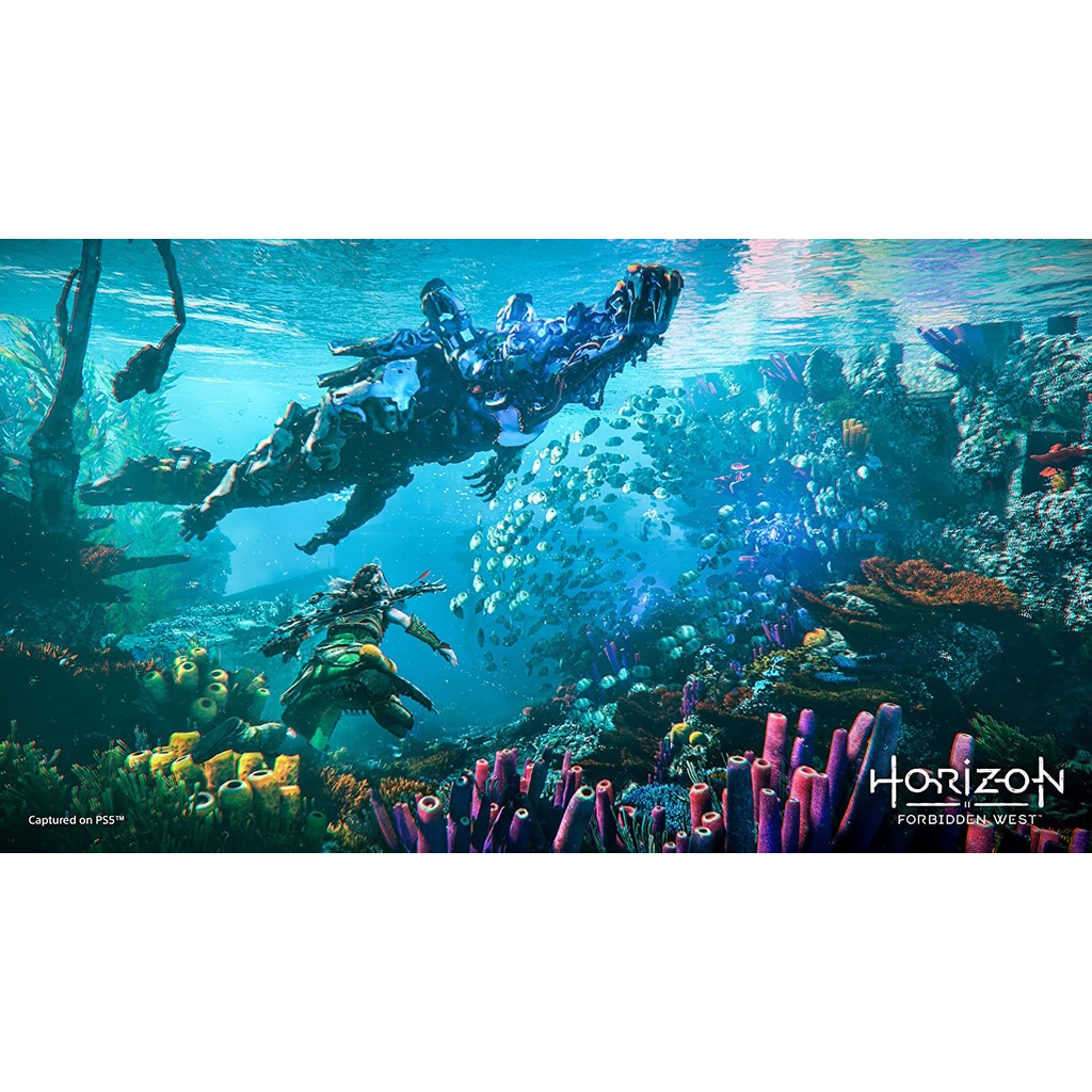 Đĩa game Horizon Forbidden West - PS5 / PS4