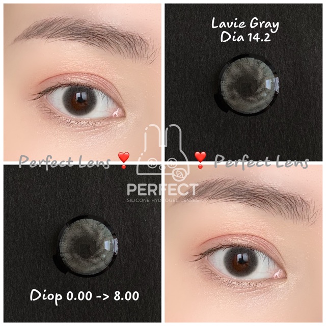 Lens Lavie Gray - Không Độ - (dia 14.2 / Gdia 13.8) Kính Áp Tròng