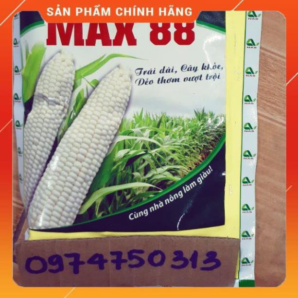 VNUA - GIỐNG NGÔ NẾP MAX 88 GÓI 100GR