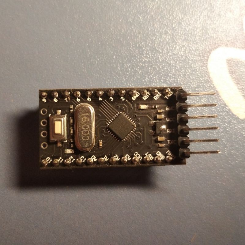 Arduino Pro Mini atmega 168