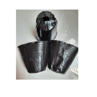 Túi bầu ươm cây(Hàng loại 1) size 10x10
