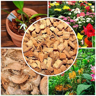 Sơ dừa cắt miếng, sơ dừa băm