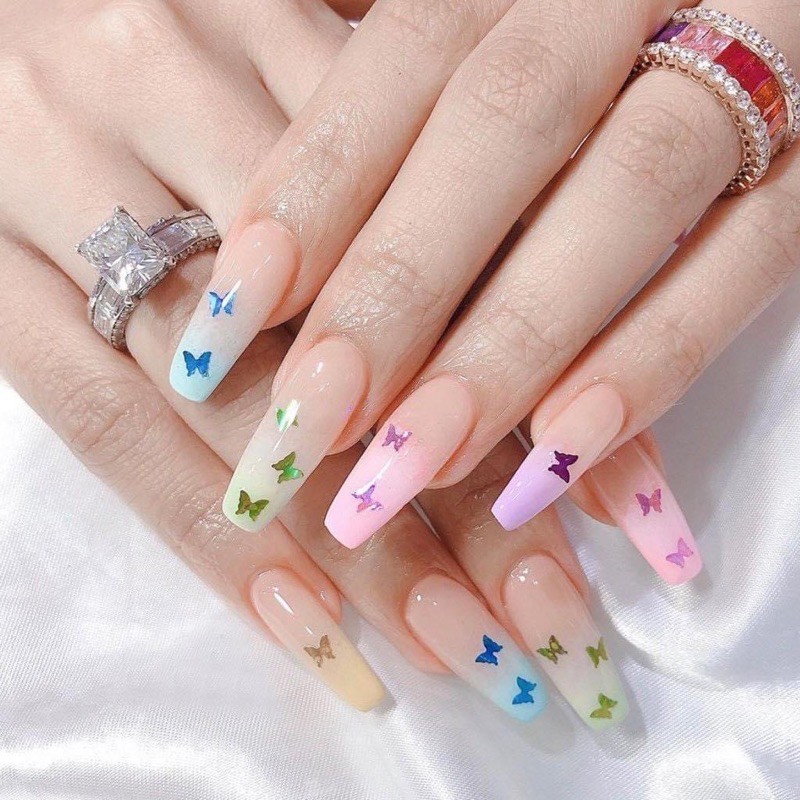 khay 12 màu hình bướm trang trí móng tay chân