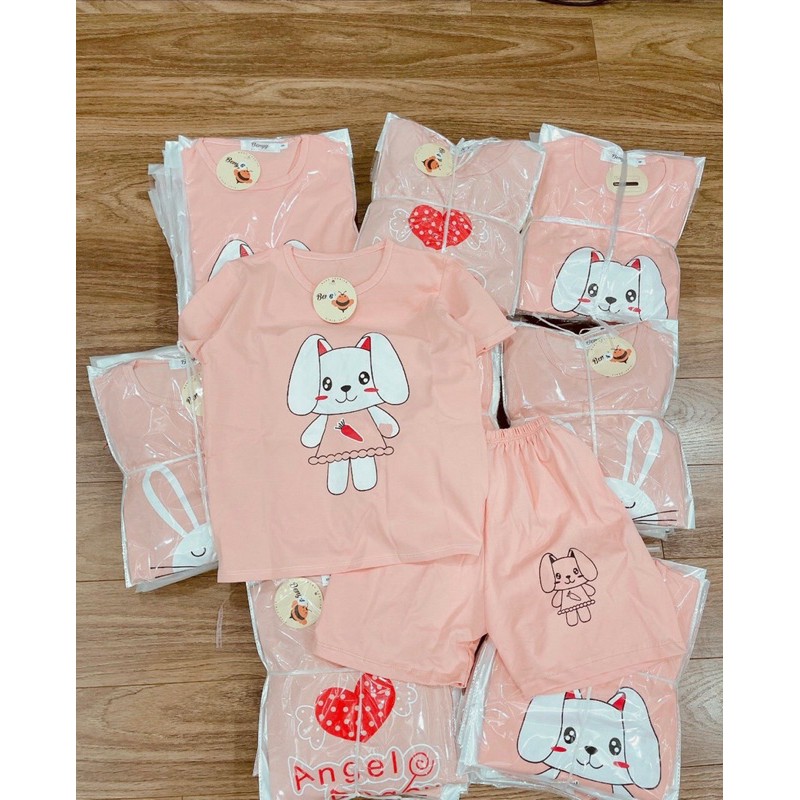 BÁN SỈ SÉT BỘ BÉ GÁI COTTON 3 HOẠ TIẾT