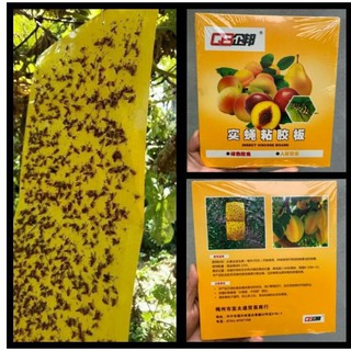 BỘ 5 MIẾNG BẪY DÍNH RUỒI VÀNG, CÔN TRÙNG DÙNG CHO VƯỜN LAN, CÂY ĂN QUẢ