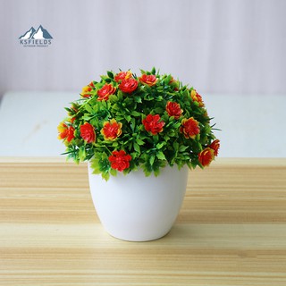 1 Chậu Hoa Bonsai Giả Ksfields