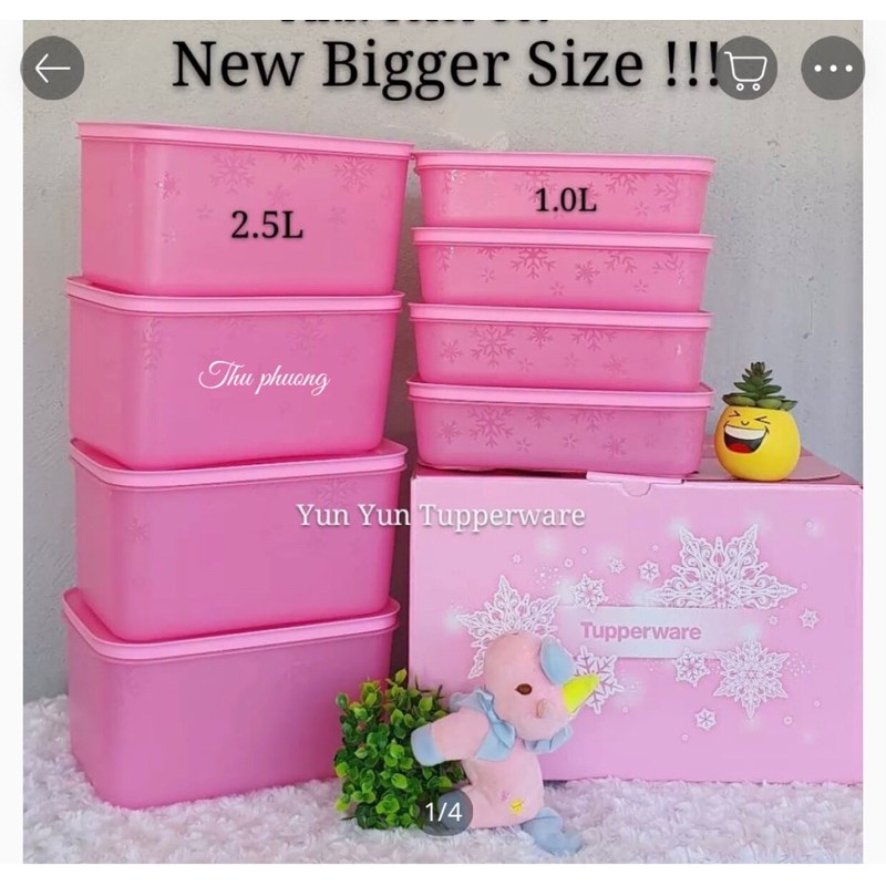 Set đông dẻo gen II tup malay