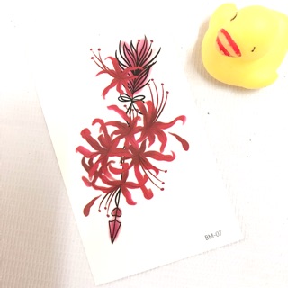 Hình xăm dán bỉ ngạn hoa lông vũ BM-07_ mua 5 tặng 1 đồng size