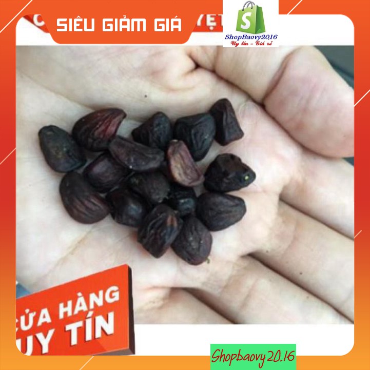 (100g) Hạt dổi nếp cây cổ thụ, TẠO GIÁ TRỊ MÓN ĂN