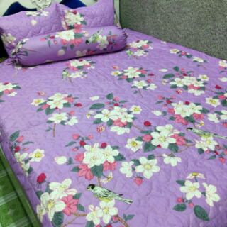 Gra  gối  cotton