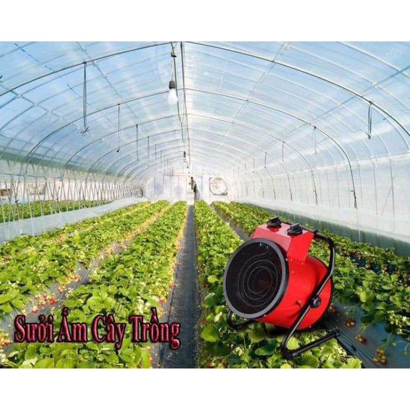 Quạt sấy/sưởi ấm công nghiệp 3000w