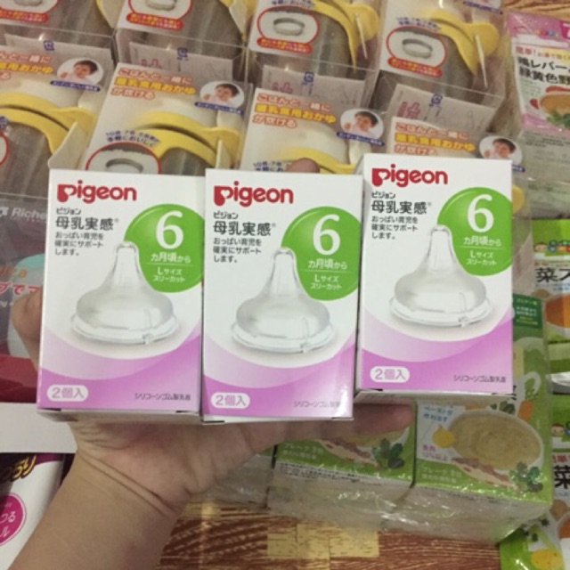Núm ti Pigeon nội địa Nhật