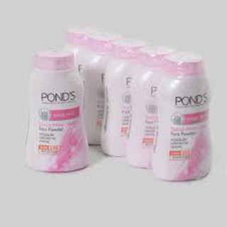 Phấn Pond's Thái Lan 50g