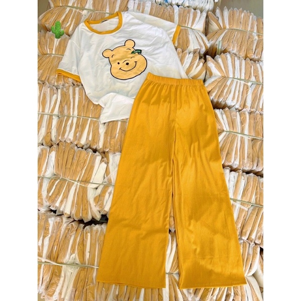 Set bộ áo thun phông gấu thêu kèm quần dài tăm PC alohashop91