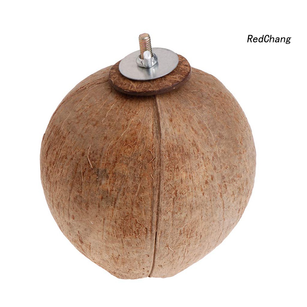 Tổ Chim Hình Gáo Dừa Xinh Xắn Độc Đáo
