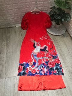 Áo dài gấm
