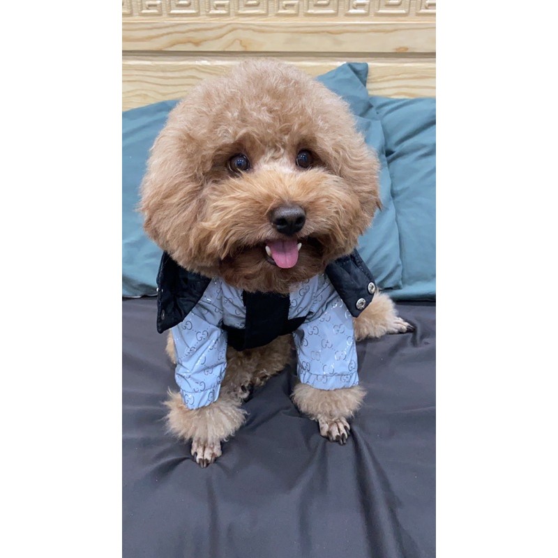 ÁO KHOÁC PHAO GUCCI PHẢN QUANG