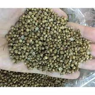 100gr Hạt mùi - hạt ngò sấy khô