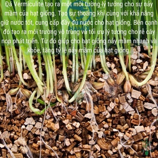 Đá Vermiculite – đá Vơ mi Namix