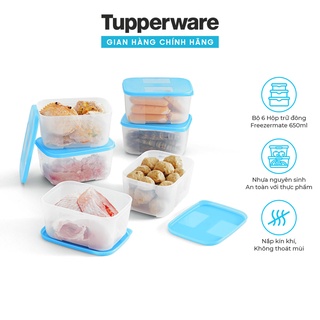 Bộ hộp trữ đông Feezermate 650ml TUPPERWARE bảo quản thực phẩm tiện lợi chuyên biệt cho ngăn đông