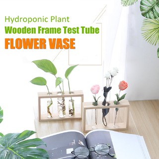 Bình thủy tinh trồng cây trong nước