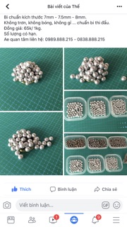 Bi sắt kỹ thuật - bi nhám